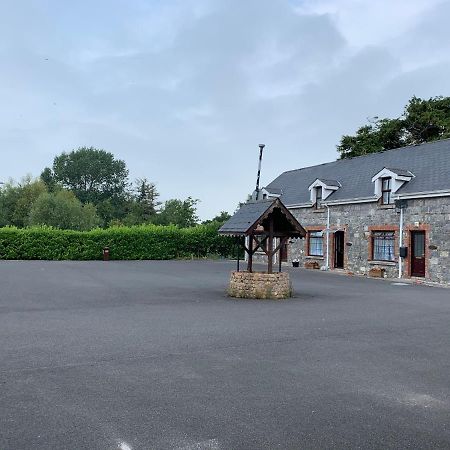 Cut Limestone Apartment Riverside Lodge Carlow Esterno foto
