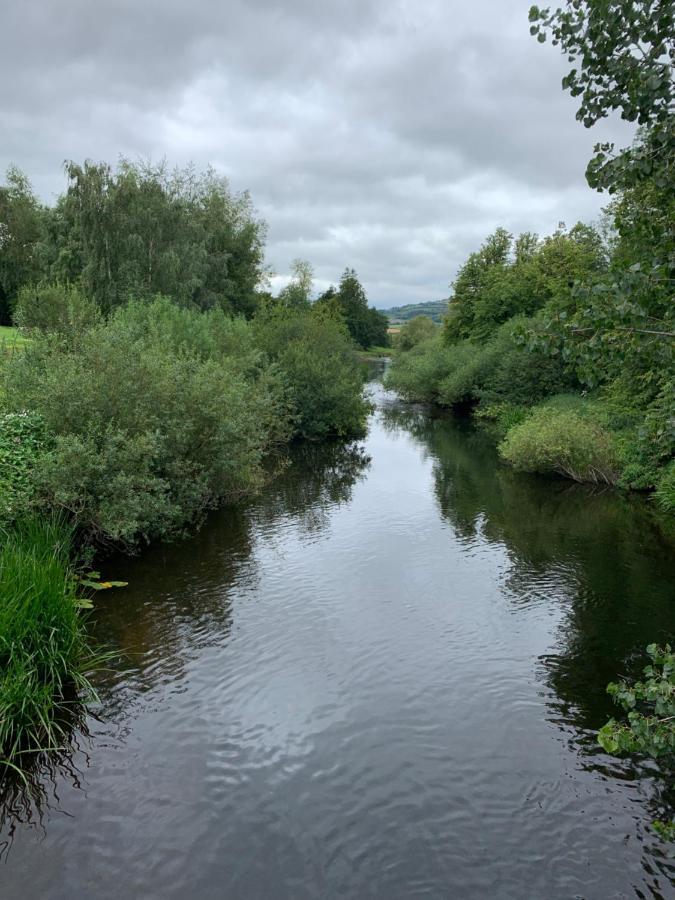 Cut Limestone Apartment Riverside Lodge Carlow Esterno foto