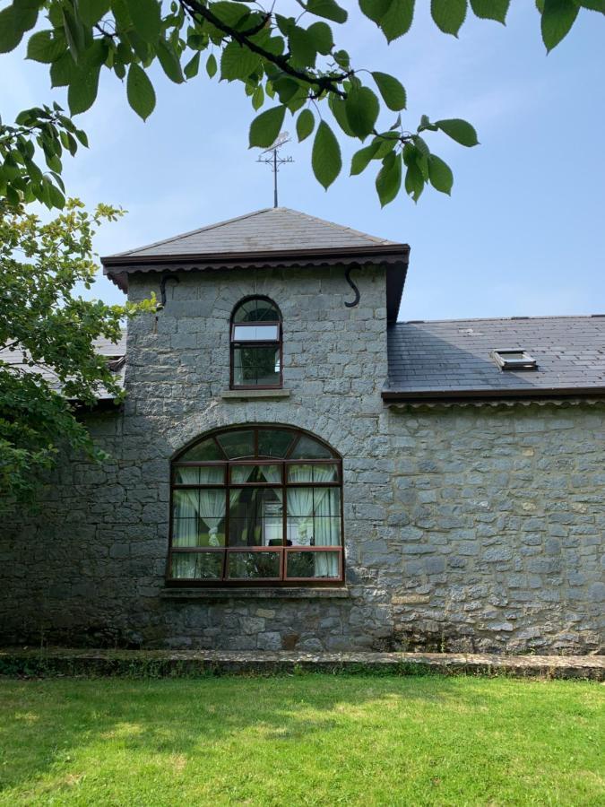 Cut Limestone Apartment Riverside Lodge Carlow Esterno foto