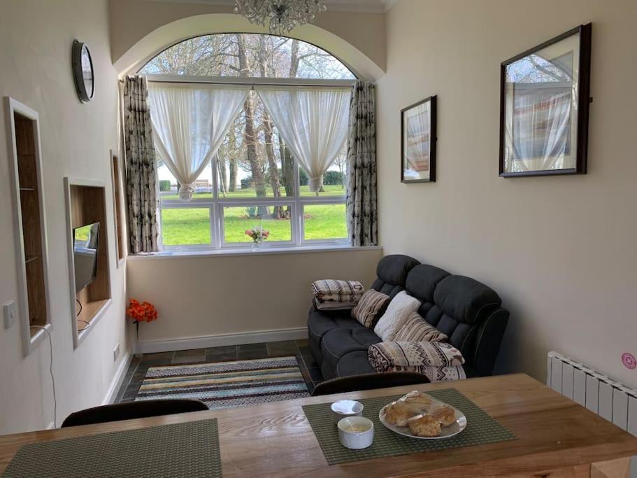 Cut Limestone Apartment Riverside Lodge Carlow Esterno foto